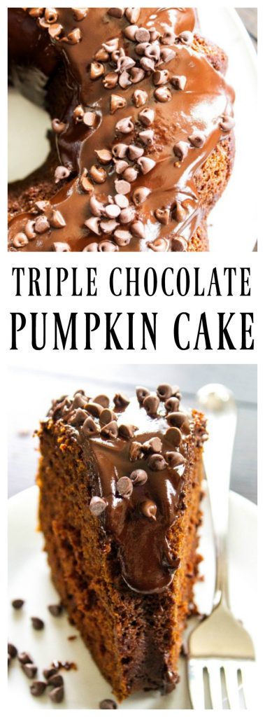 triple chocolate pumpkin cake