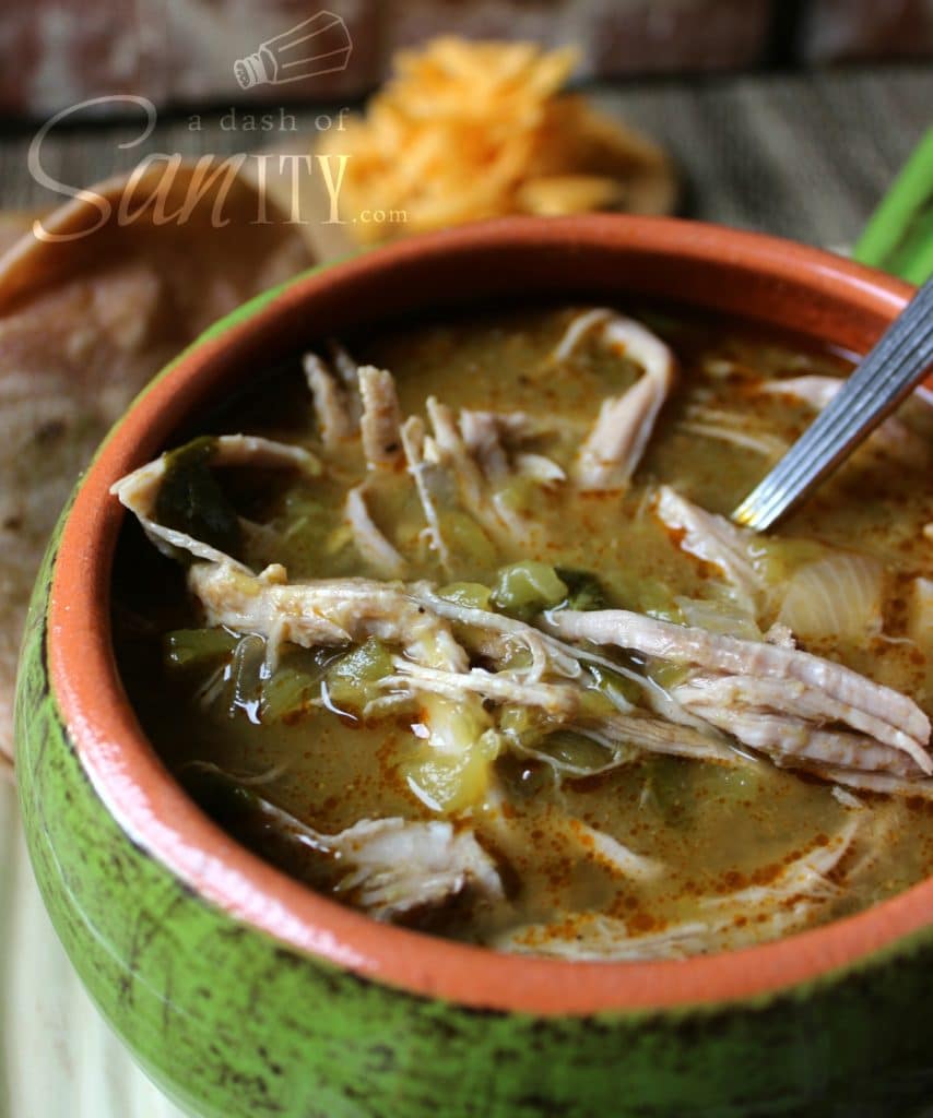 Slow Cooker Chile Verde A Dash of Sanity