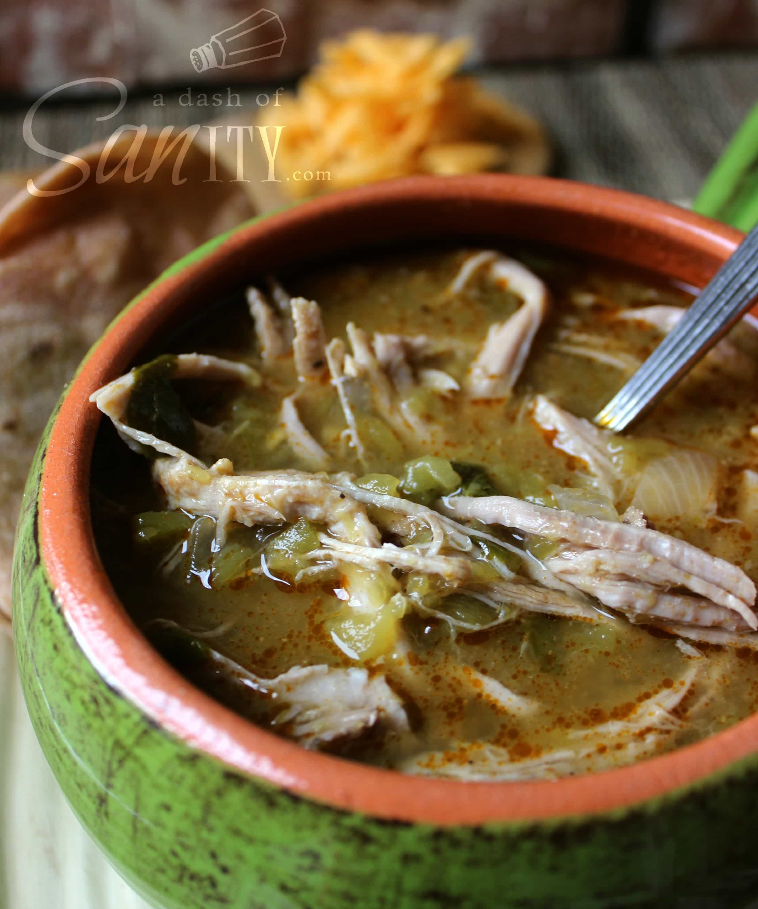 Slow Cooker Chile Verde A Dash of Sanity