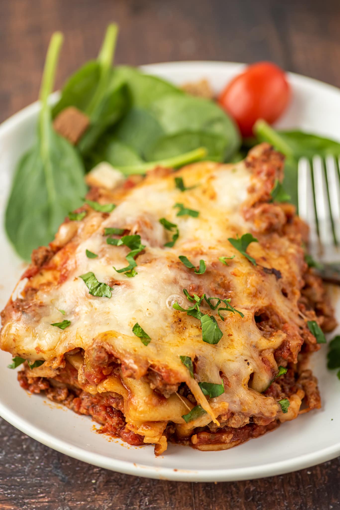 crock-pot-lasagna-9549 - Dash of Sanity