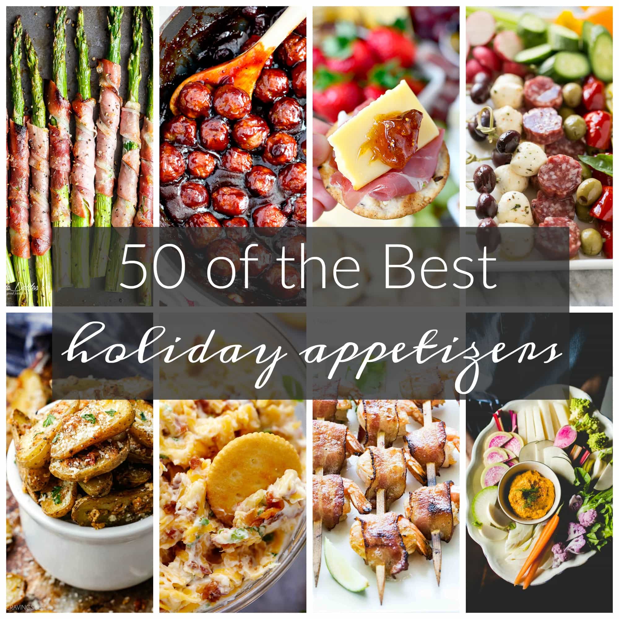 50 of the Best Appetizers for the Holidays - A Dash of Sanity