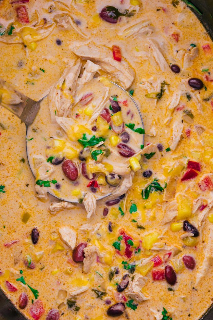 Chicken Tortilla Soup Crock Pot is full of flavor, easy to prepare and makes the house smell amazing. A perfect fall recipe & one that feeds a crowd. Chicken Tortilla Soup in a Crock Pot with ladle in the soup