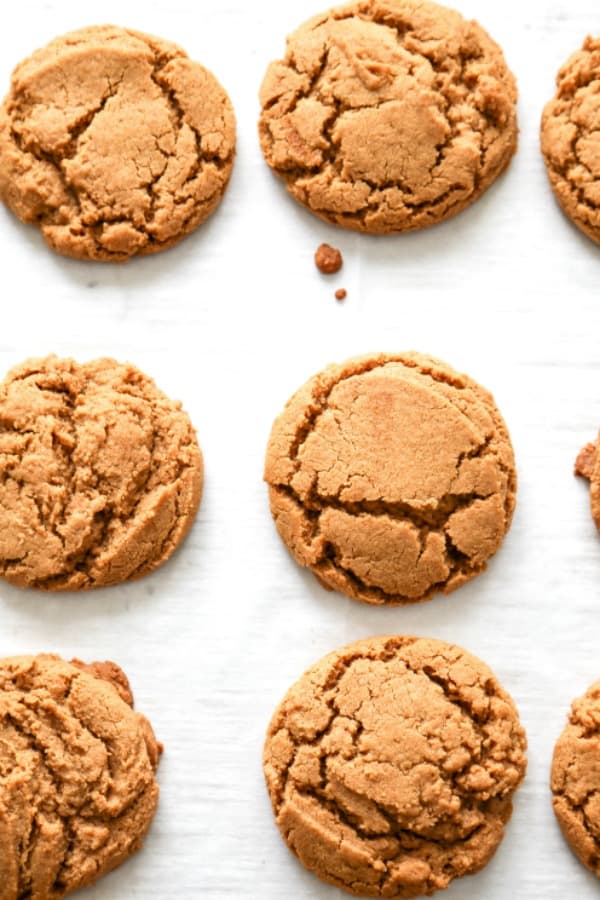 ginger cookies view of 1/2 dozen from the top, laid flat on a surface